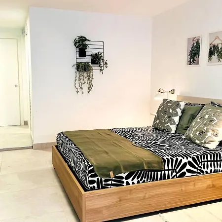 Backyard 1 Apartament *